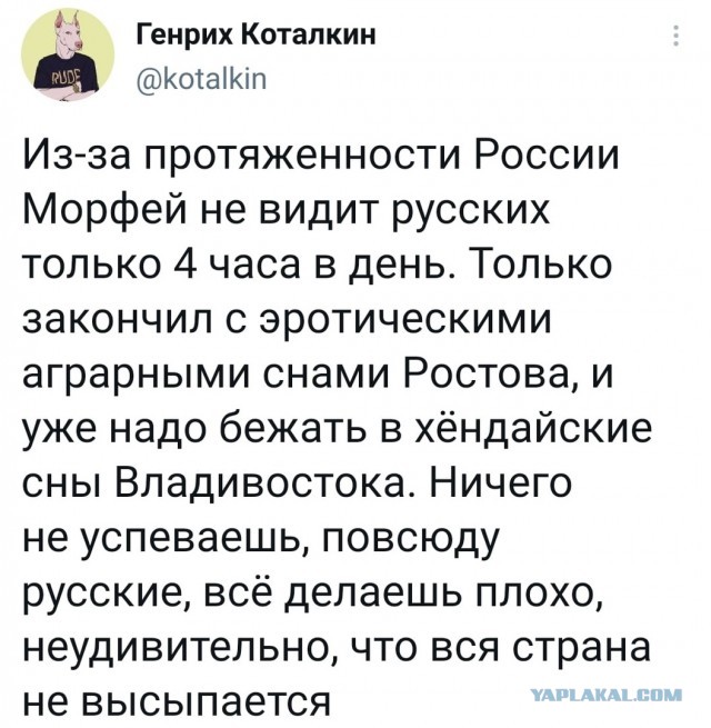 Свинегрет: картинки, надписи и прочее на 06,07.202 или №31