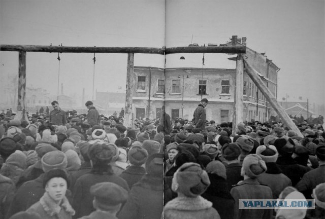 Почему пленные офицеры вермахта боялись казни на виселице