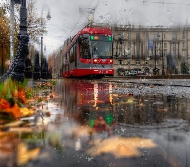 Так себе картинки 27.07.21