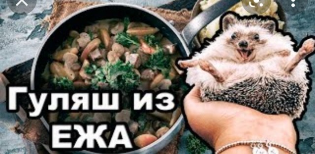 Кто бы что съел?