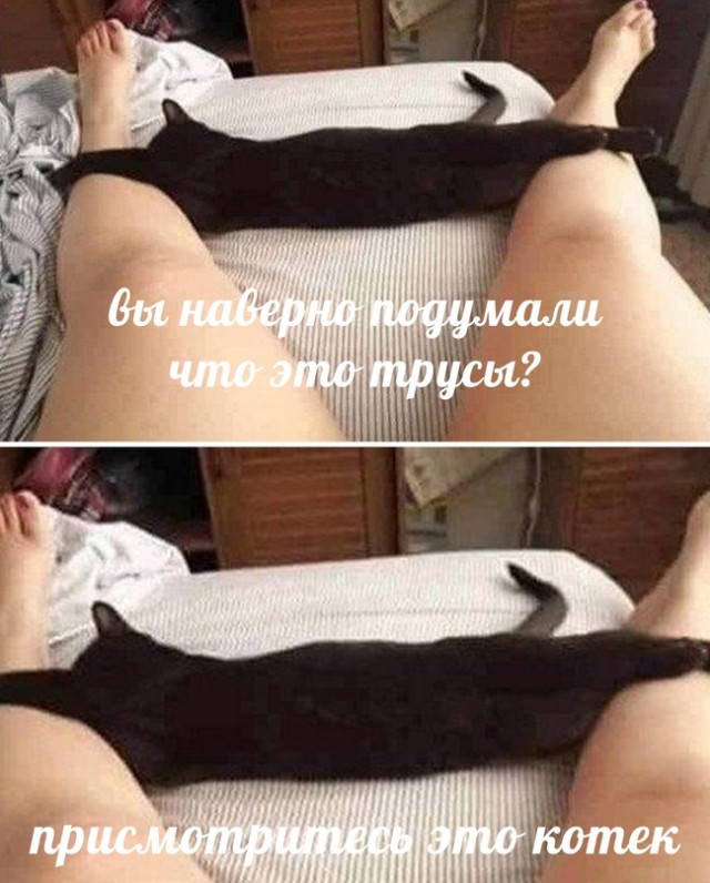 Весёлый полтишок 26.09