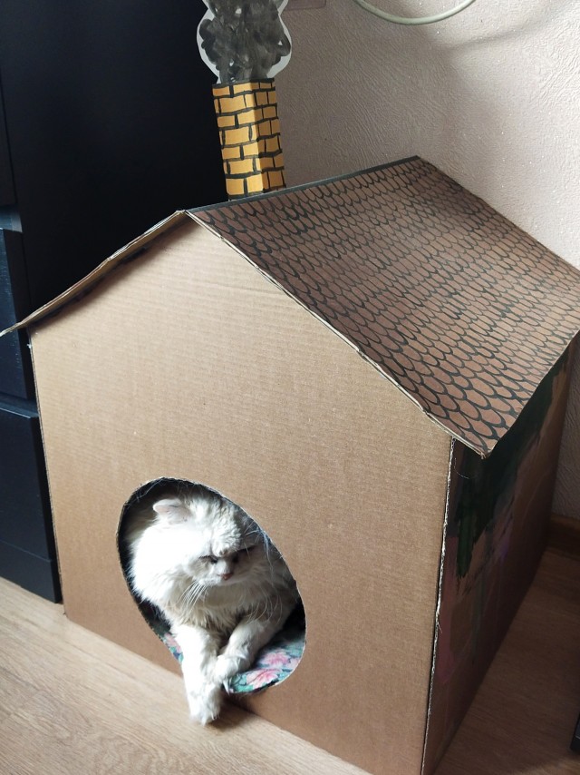 Котстел