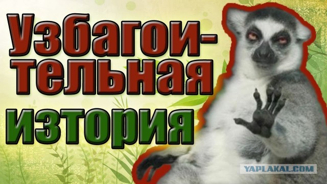 Следователь ГСУ ГУ МВД России по Ростовской области Валентина Ильина получила взятку.