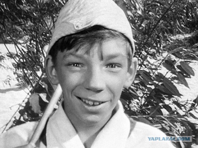 Разбавить политу на ЯП