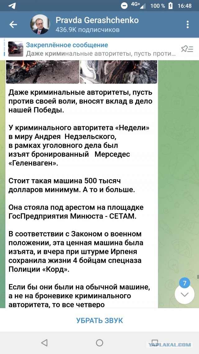 Букет Венеры отвоевался