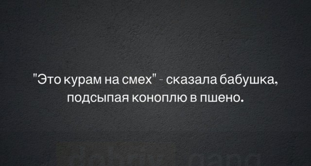 Весёлый полтишок 01.04