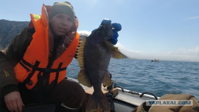 Кунашир. Море. Рыбалка