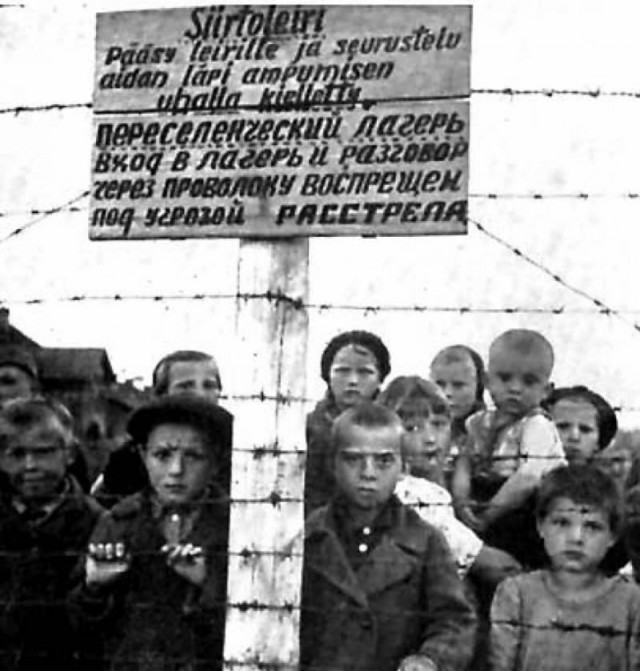 Невыученные уроки истории. ВоВ страны оси. Финны