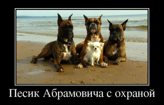 Так себе картинки 21.05.22