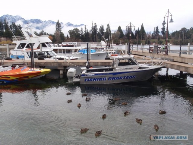 На машине по Новой Зеландии