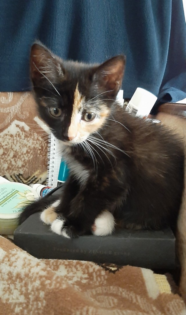 КотоФторник 23.08.22
