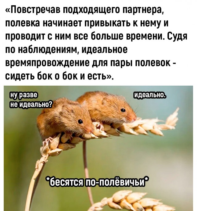 Так себе картинки 20.09.22