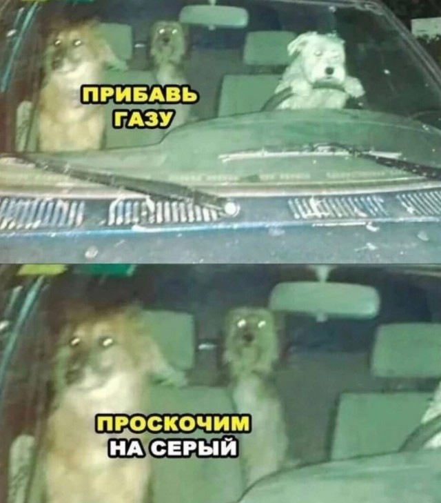 Юмор в картинках и без