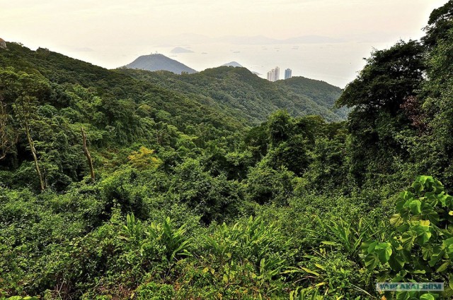 Гонконг или последнее Китайское предупреждение!