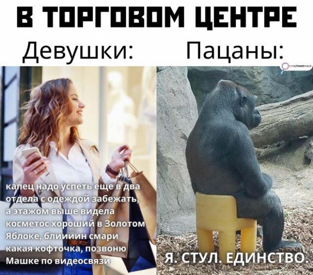 Картинки и мемы, всем хороших выходных