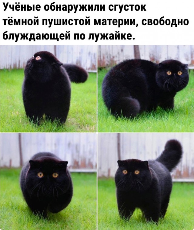 Так себе картинки 25.01.2023
