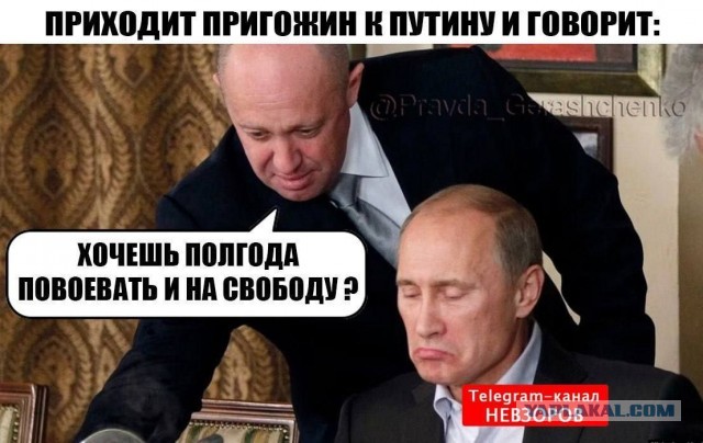 На злобу дня