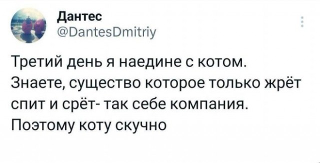 Картинки и мемы для настроения - 181