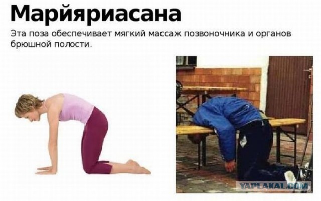 Бросаю штангу, перехожу на водку и пиво