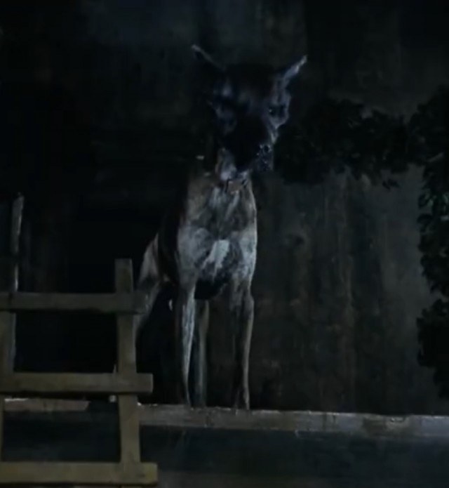 Подлинная история Баскервильского Чудовища