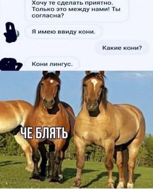 Юмор в картинках и без