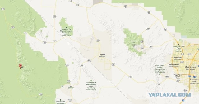 Ford Mustang напрокат