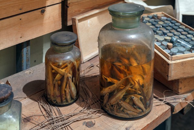 Убежище "Закусочное"