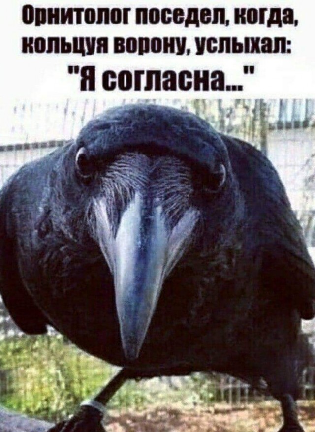 Маленькая пятница 6 марта