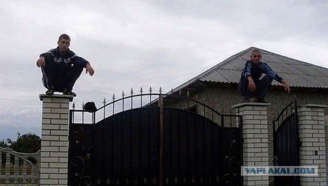 Юмор в картинках и без