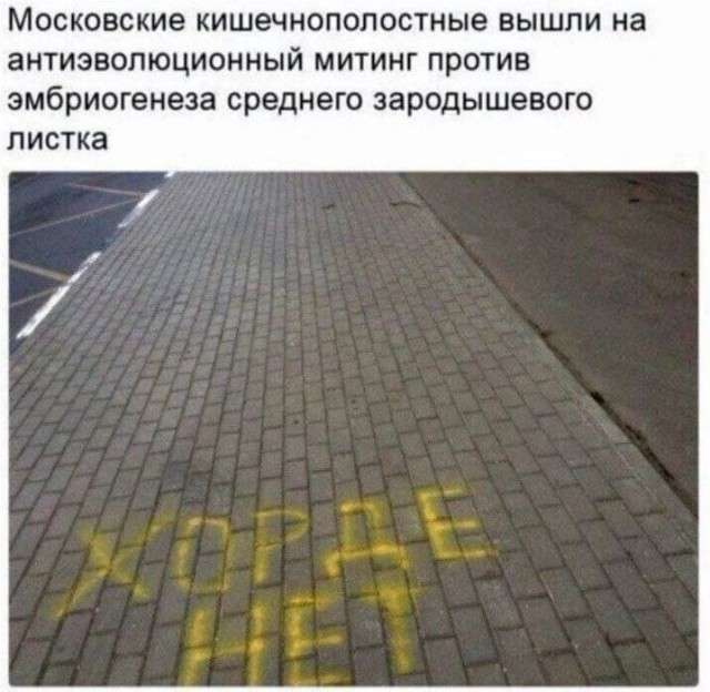 Народная меДИЧина 3007