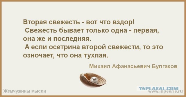 Почему у европейцы не особо выращивают гречку?