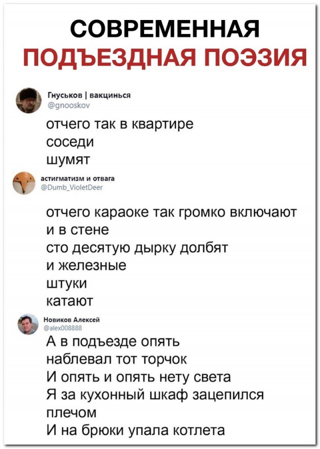 Веселые картинки к четвергу (03.10)