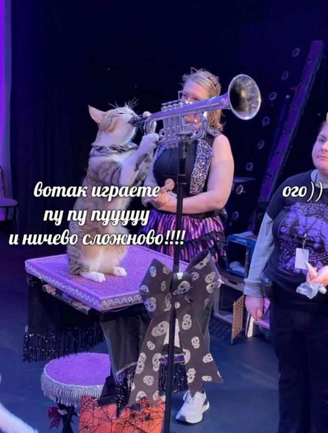 Так себе картинки 01.11.24