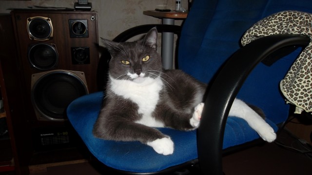 Котэ