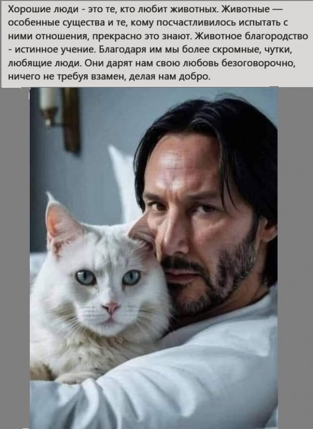 Картинки разные с надписями и без
