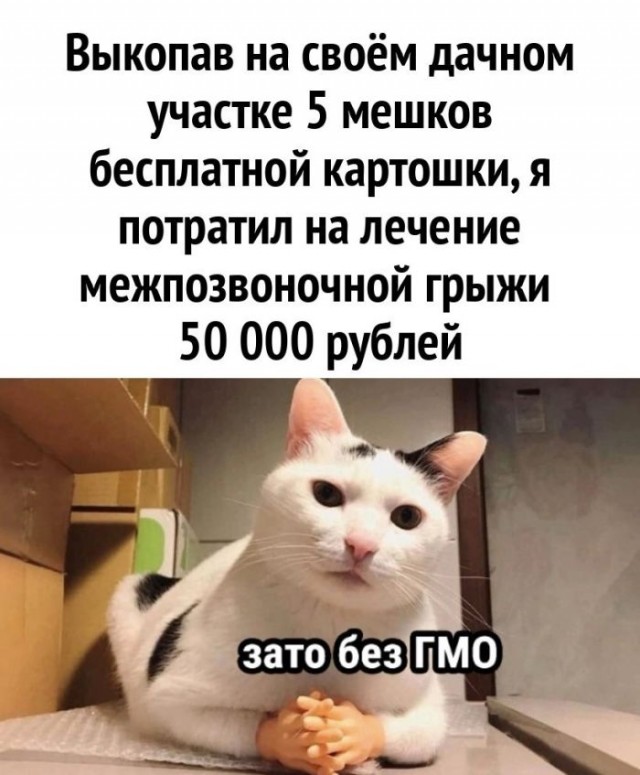 Веселые картинки к понедельнику (16.12)