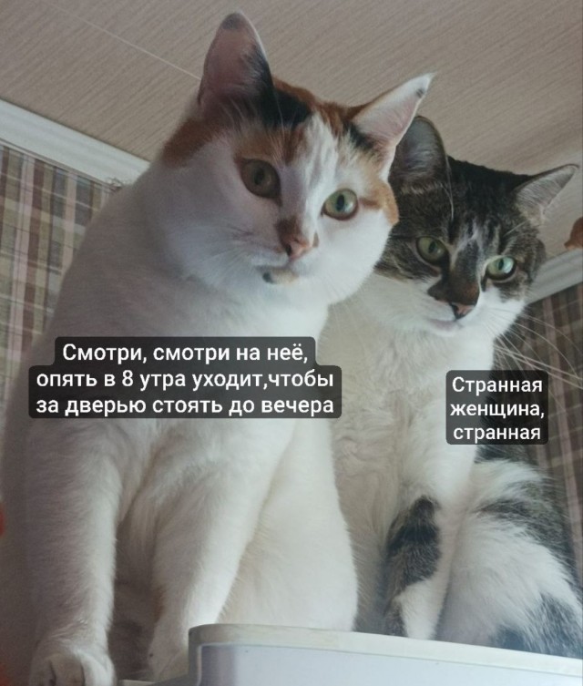 Настоящие мужчины существуют