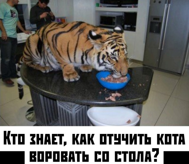 Так себе картинки 30.03.25