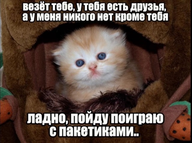 Веселые картинки в пятницу (04.04)