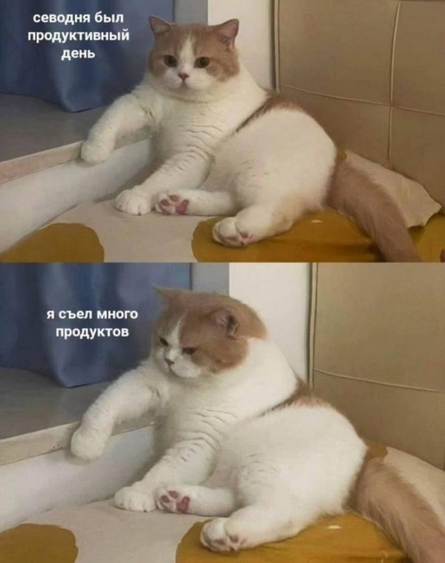 Немного ассортити....