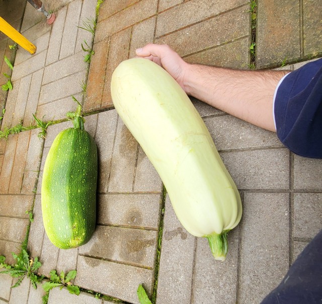 Тоже собрал урожай!