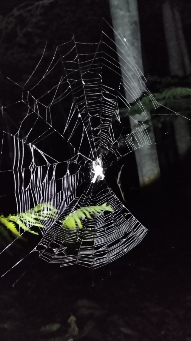 Клуб говорунов (литературный)