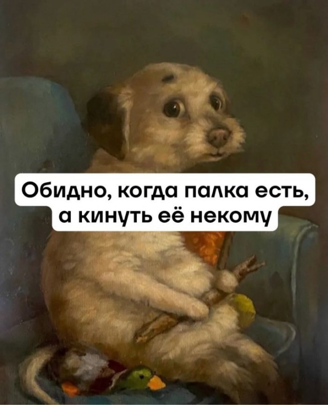 Картинки для деградации 51 (разной степени свежести)