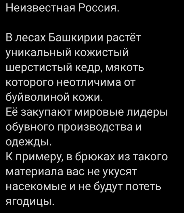 Так себе картинки 21.10.25