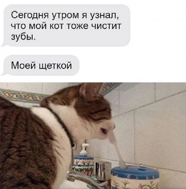 Так себе картинки 06.12.25