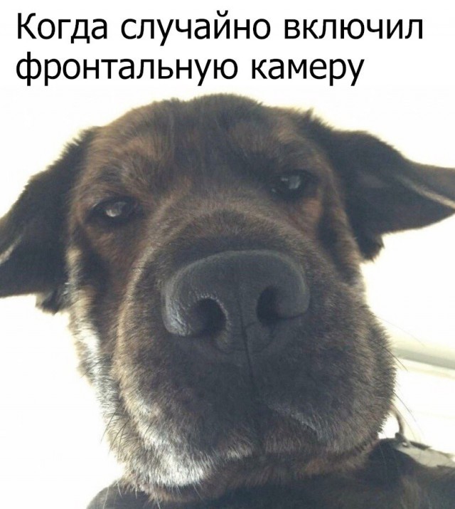Картинки для деградации 160 (разной степени свежести)