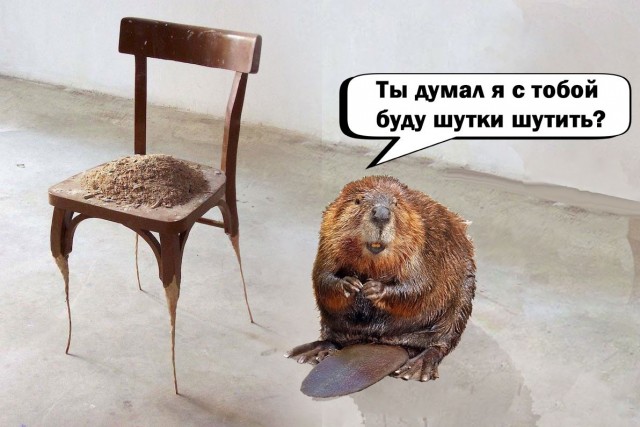 За бобров обидно⁠⁠