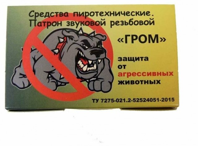 Это дворовая китайская собака, не кусается