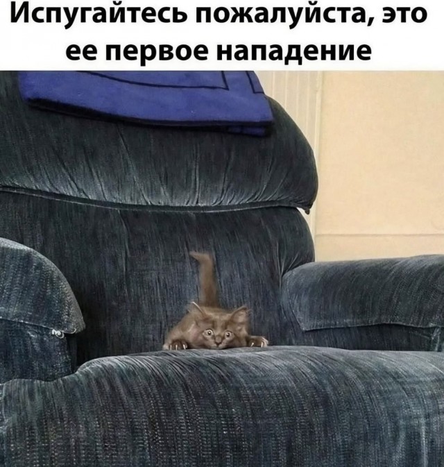 Среды картинки