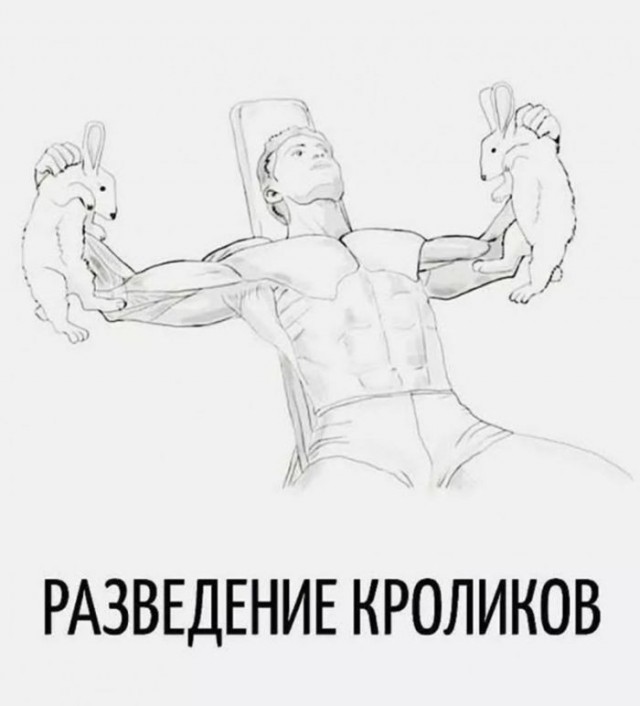 Картинки для деградации 236 (разной степени свежести)